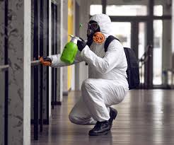 Why You Should Choose Our Mold Remediation Services in Laurel Park, NC